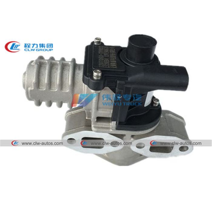 EGR valve assembly (2)