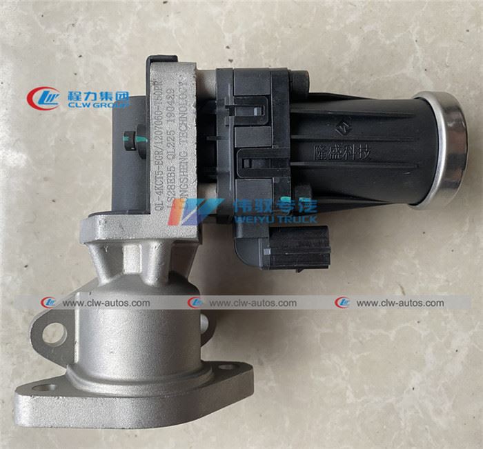 EGR valve assembly (3)