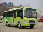 Dongfeng 20 Seats Bus