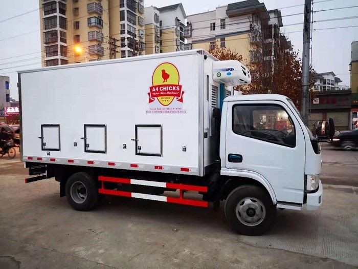 Dongfeng 4.2m Chick Duckling Transport Van Truck