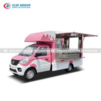FOTON 4-Wheel Gasoline Mobile Food Truck