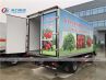 Howo 4X2 5Tons Freezer Cooling Van Truck
