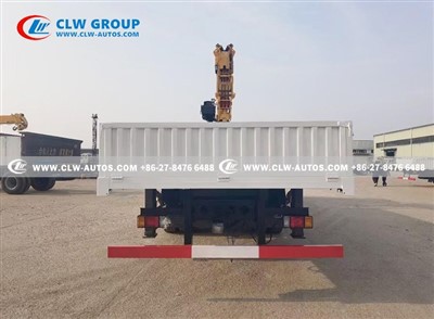 ISUZU 4X 10 tons Straight Boom Crane (5)