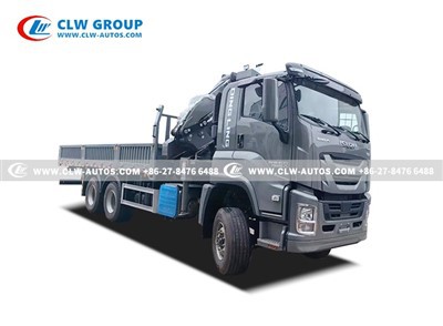 2.ISUZU fvz 6x4 crane truck