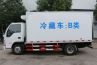 isuzu refrigerated van 2