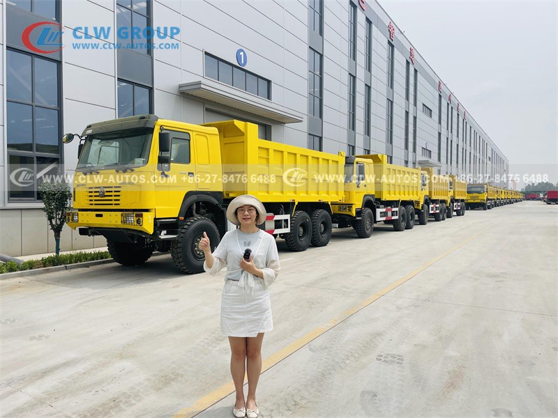 Dump Truck 10