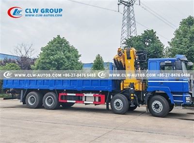 Shacman 28 Ton Crane Truck