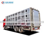 Livestock Transport Truck