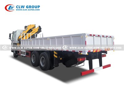 SINOTRUK TRUCK WITH CRANE 10 TONS (8)