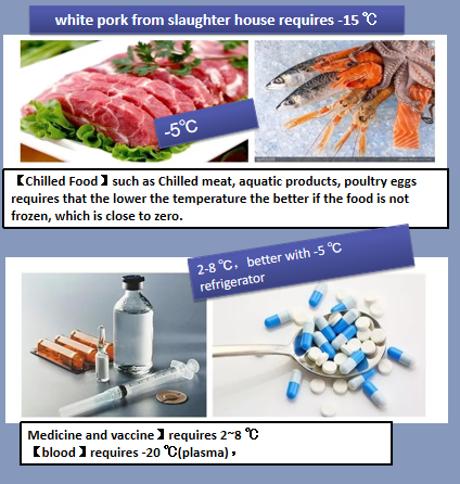 Refrigerated Truck food delivery 2